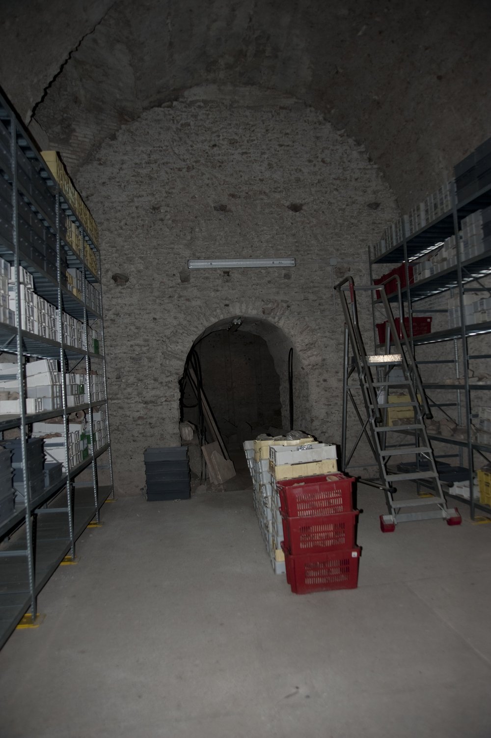 DSC_6771.jpg
