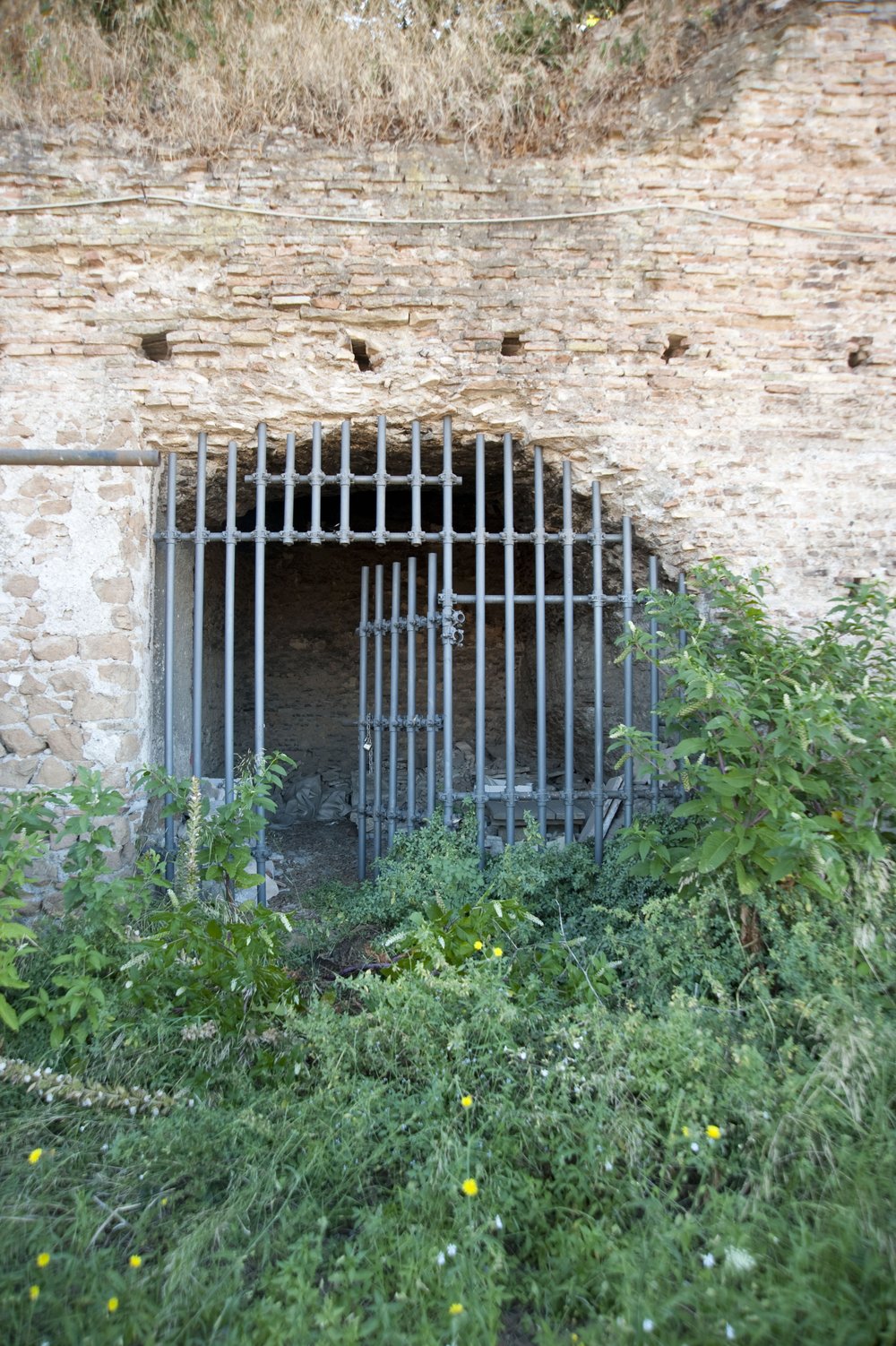 DSC_6753.jpg