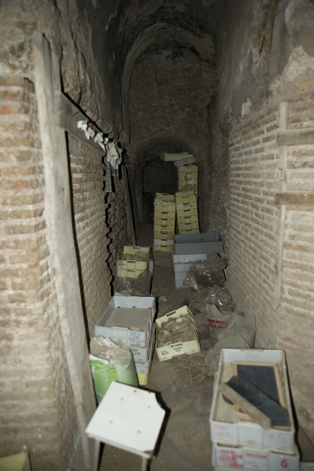 DSC_6548.JPG