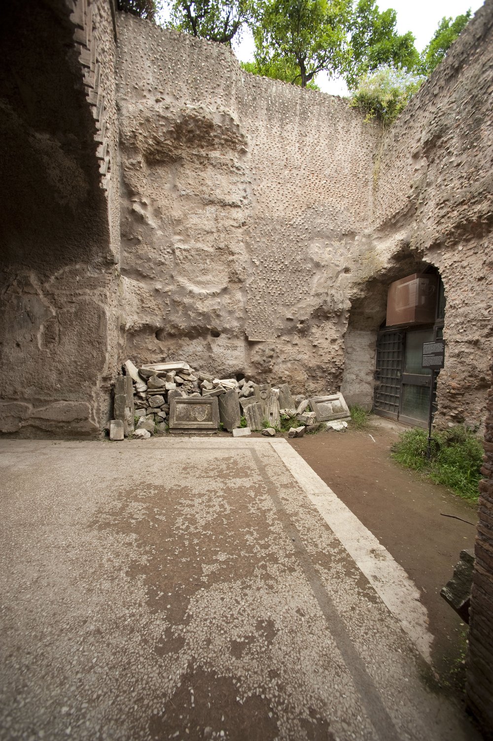 DSC_2486.JPG