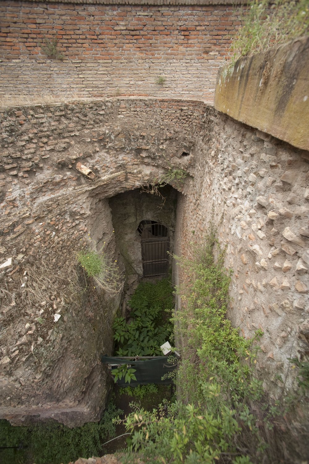 DSC_2488.JPG