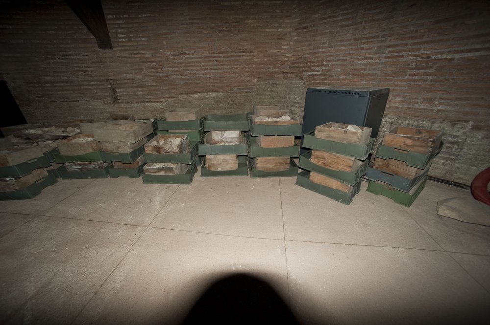 DSC_2482.JPG