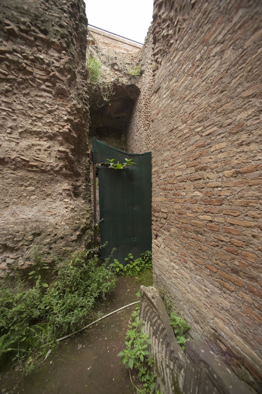 DSC_2487.JPG
