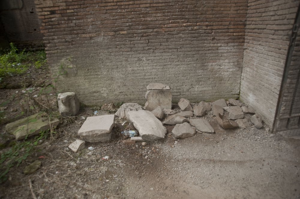 DSC_6447.jpg