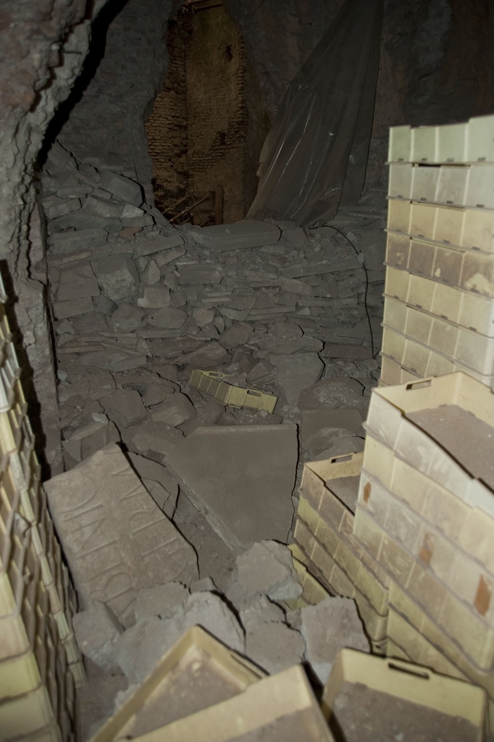 DSC_6443.jpg