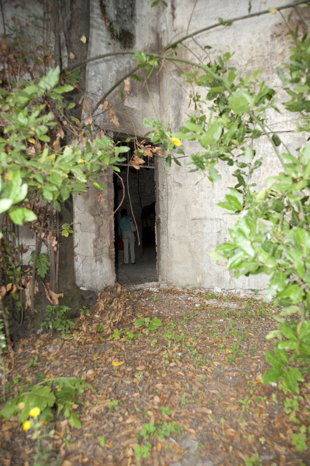 DSC_6424.jpg