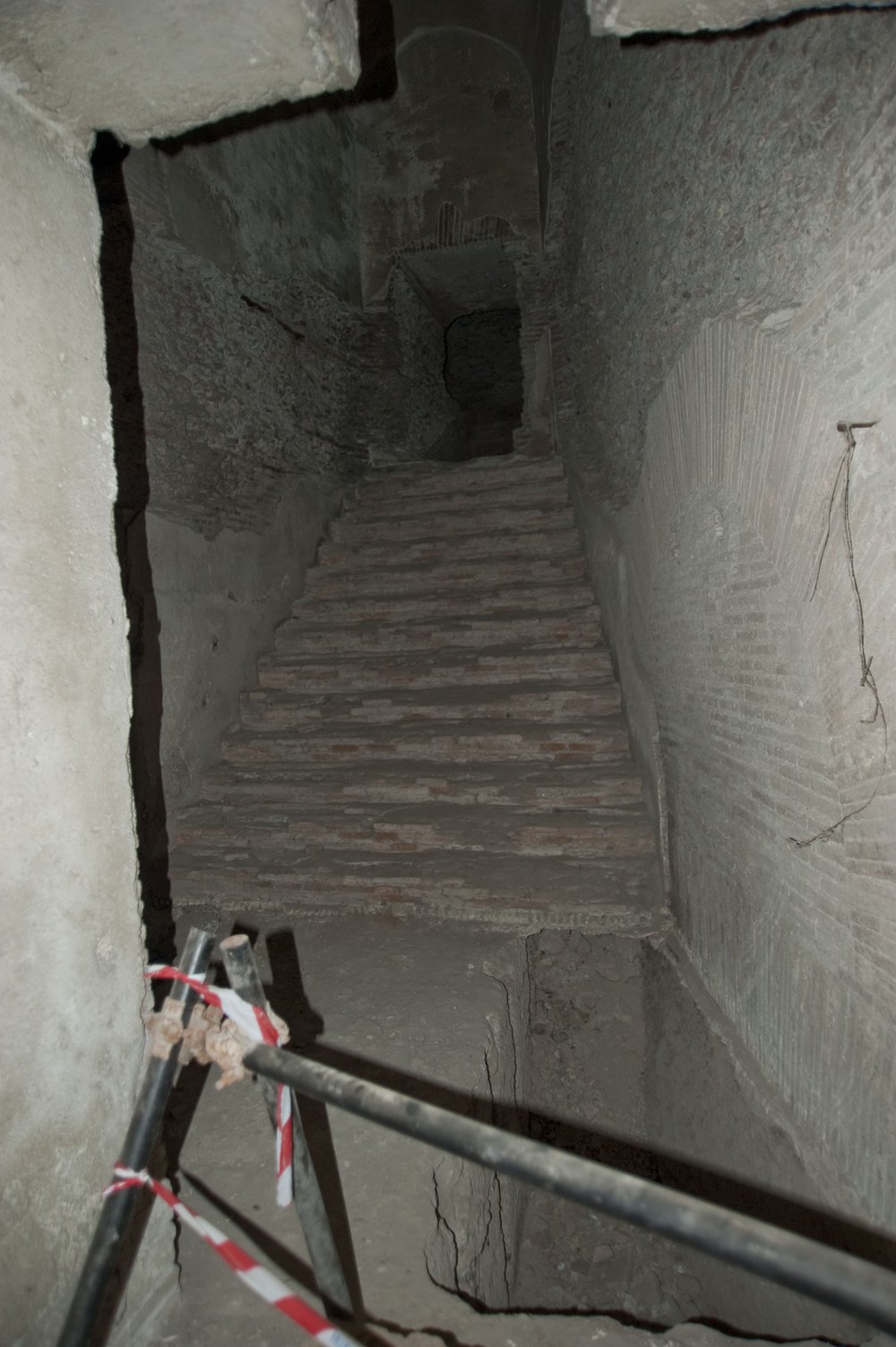DSC_6466.jpg