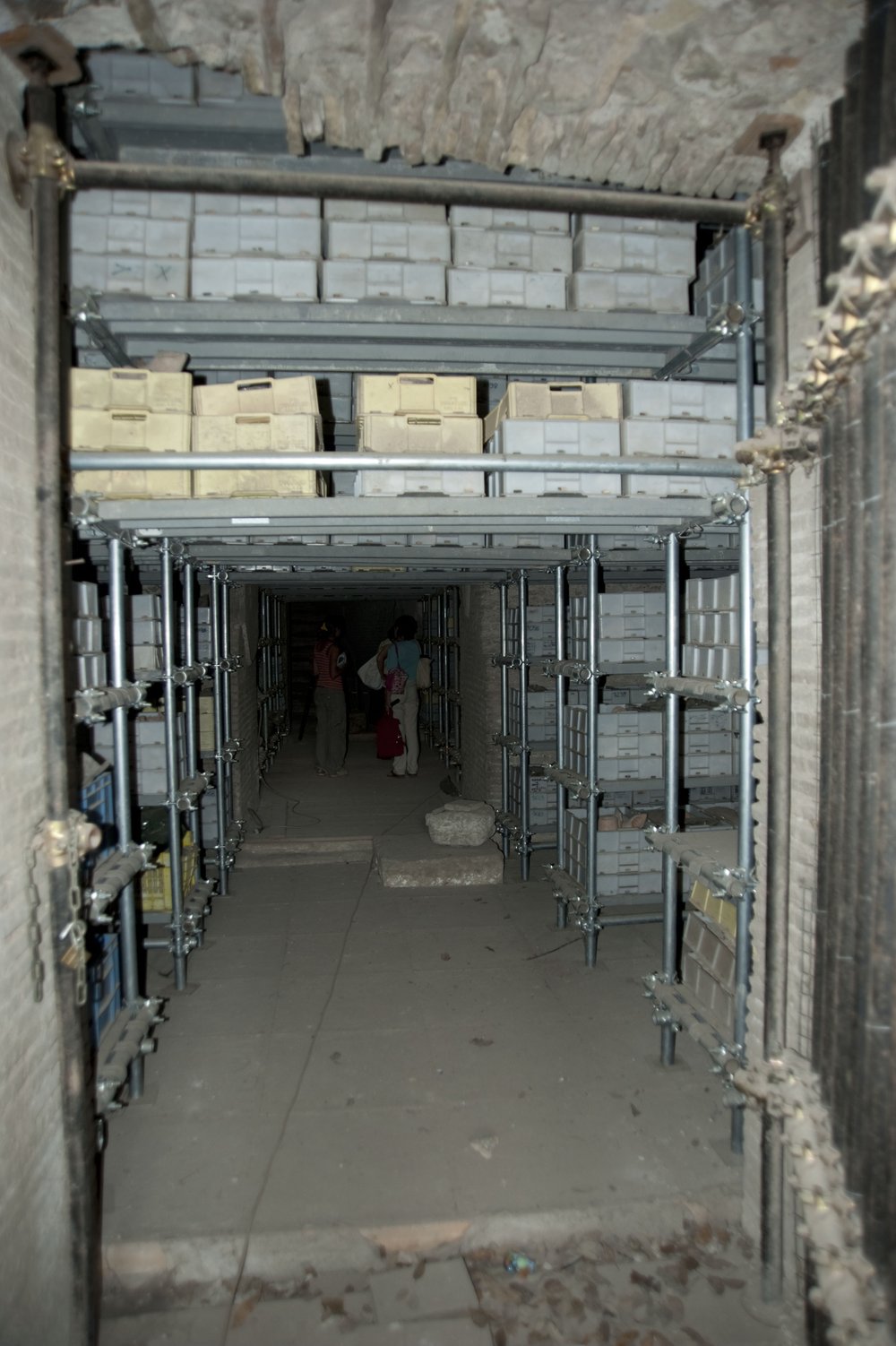 DSC_6465.jpg