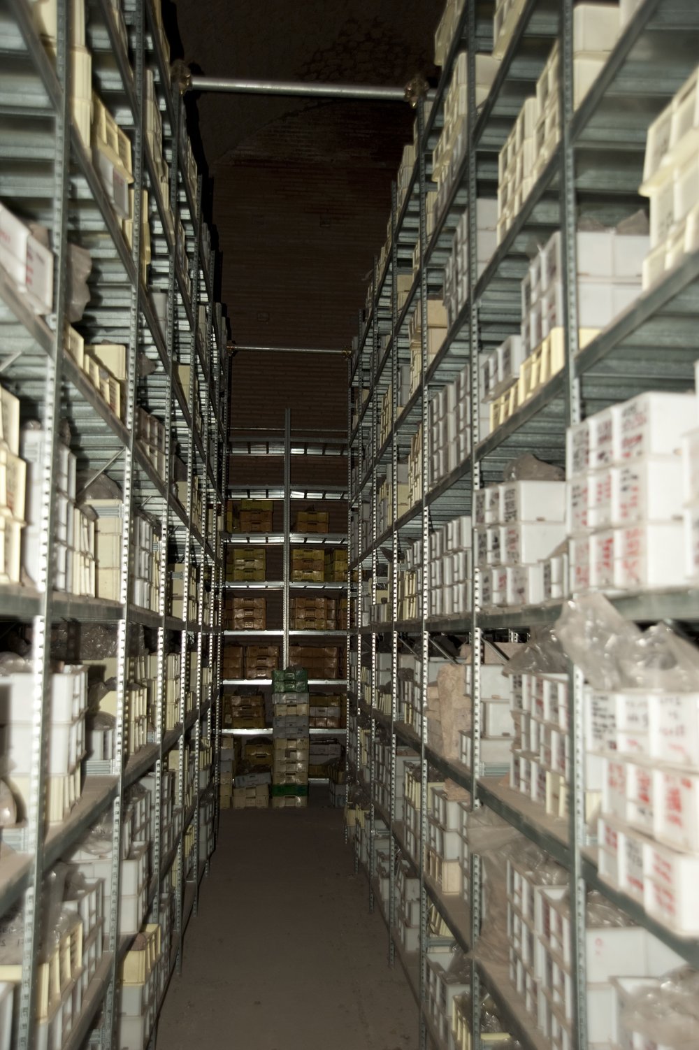 DSC_0233.jpg