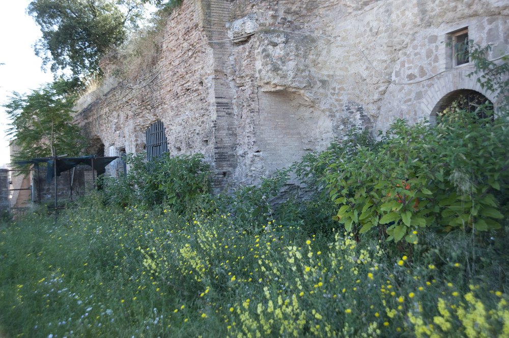 foto stato di fatto entrata magazzini.jpg