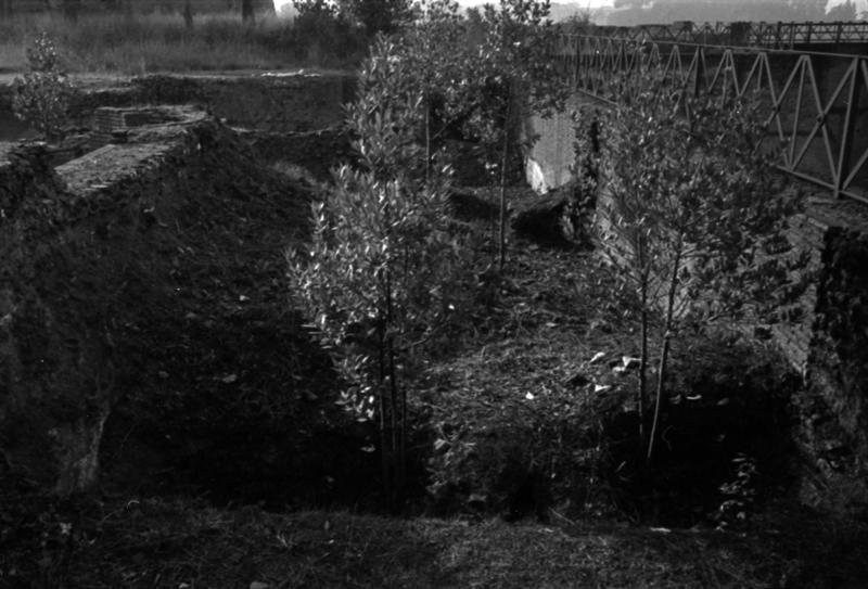 1-00014/ 07556/ 16784 - Roma - Palatino - Domus Augustana