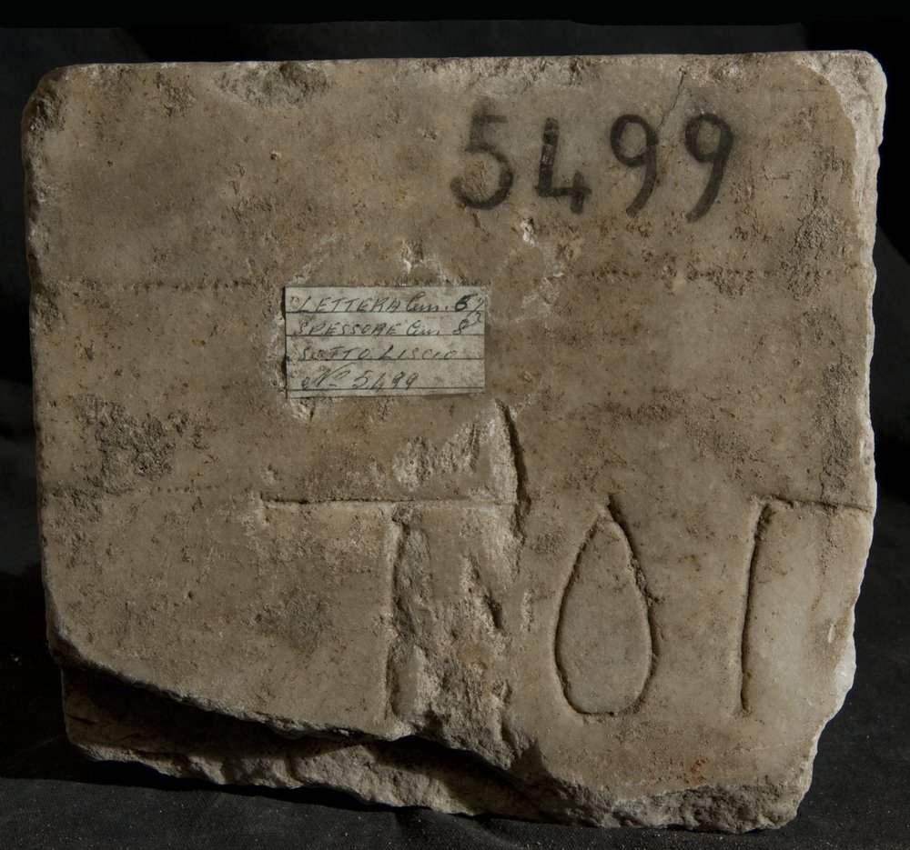 Inv. 5499.TIF
