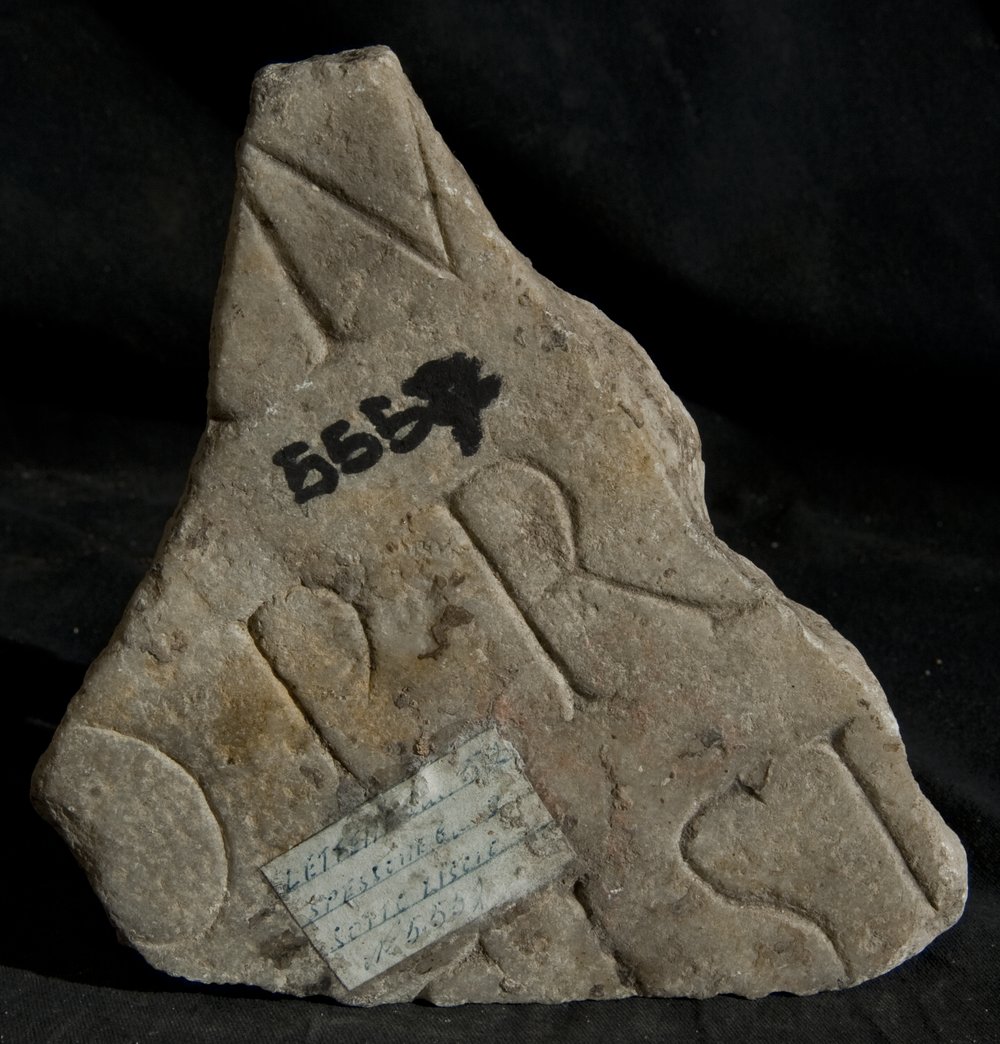 Inv. 5557.TIF