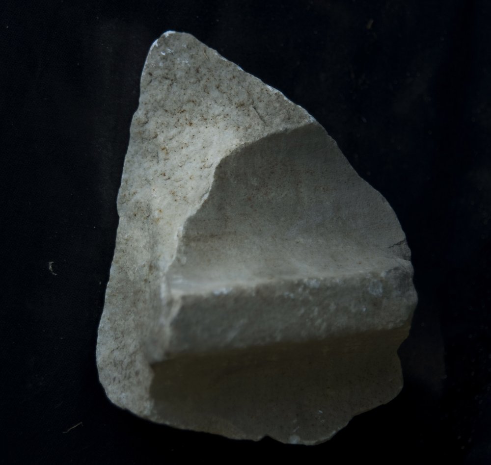 DSC_6564.JPG