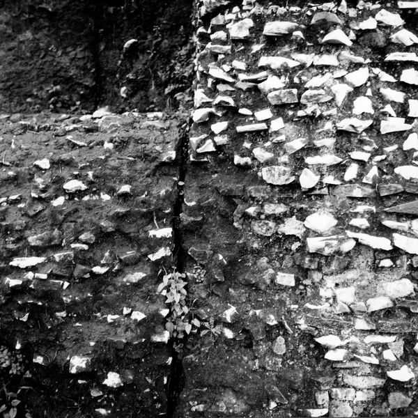 004943 - restauro - Domus Tiberiana, fronte Nord-Est: taberne della via Nova al piano intermedio, lesioni