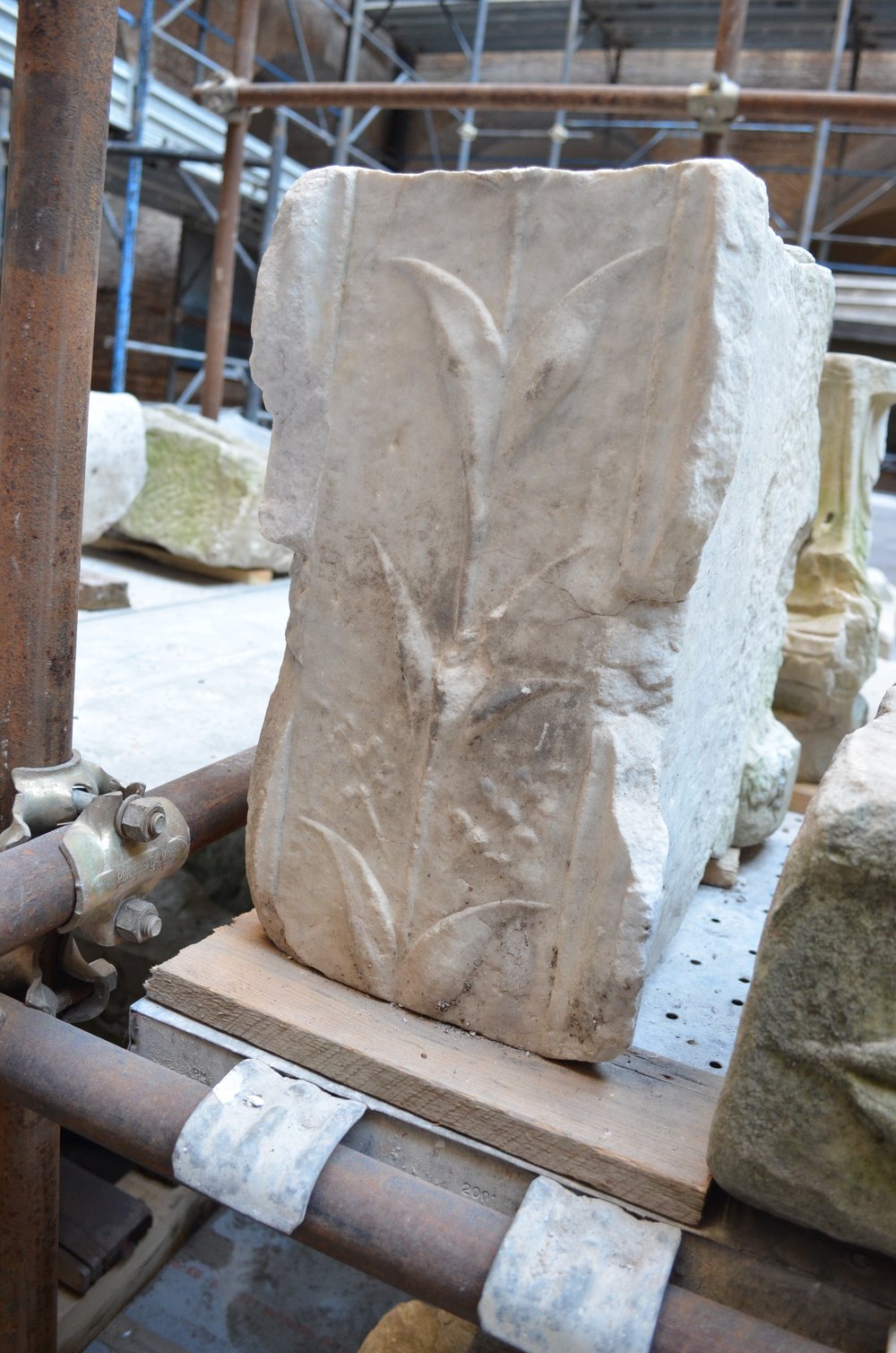 inv. 593522.JPG