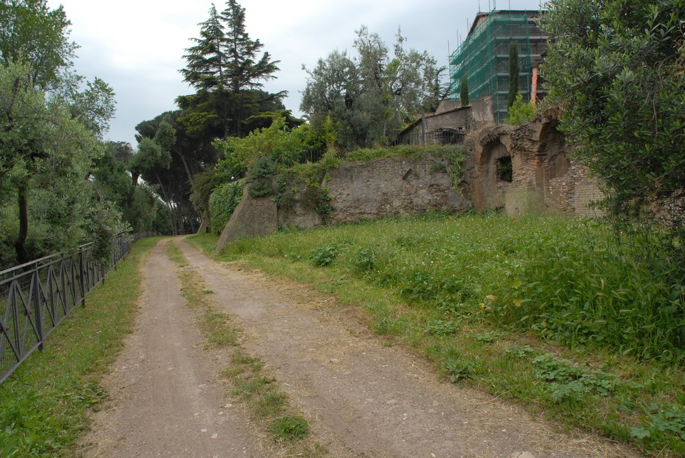 DSC_0038.JPG