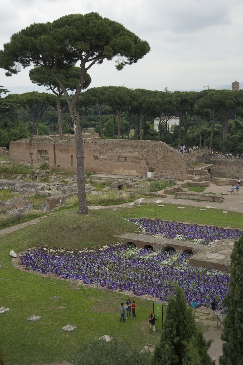 fiori fronte museo.tif