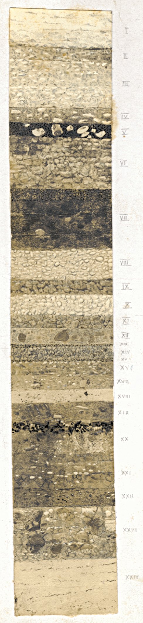 11 fr-nl.tif