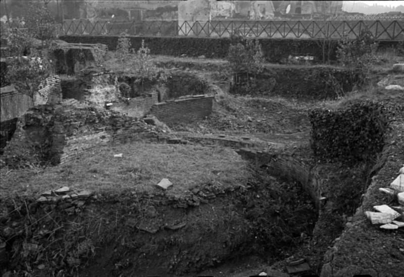 1-00014/ 07556/ 16784 - Roma - Palatino - Domus Augustana