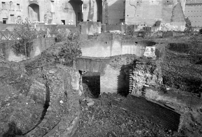 1-00014/ 07556/ 16784 - Roma - Palatino - Domus Augustana