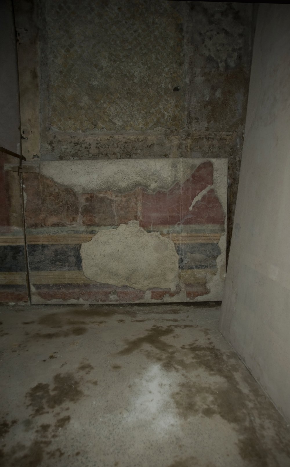 DSC_6508.JPG