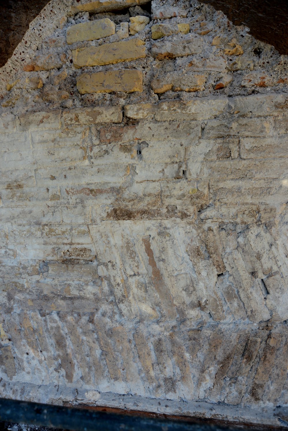 DSC_0212.JPG