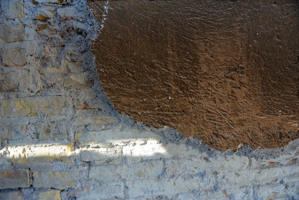 DSC_0205.JPG