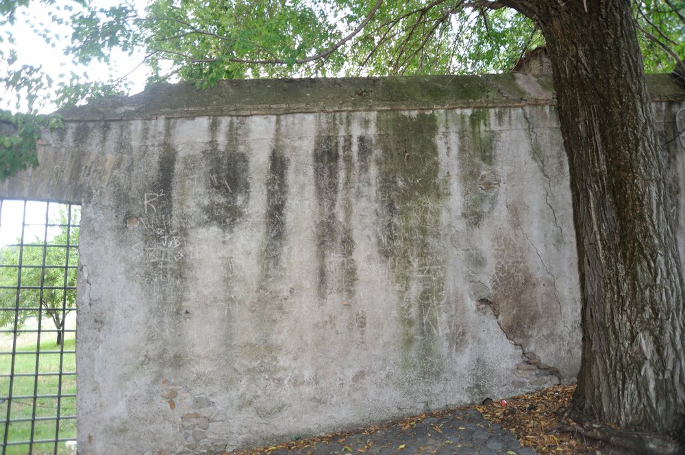 DSC_3624.JPG