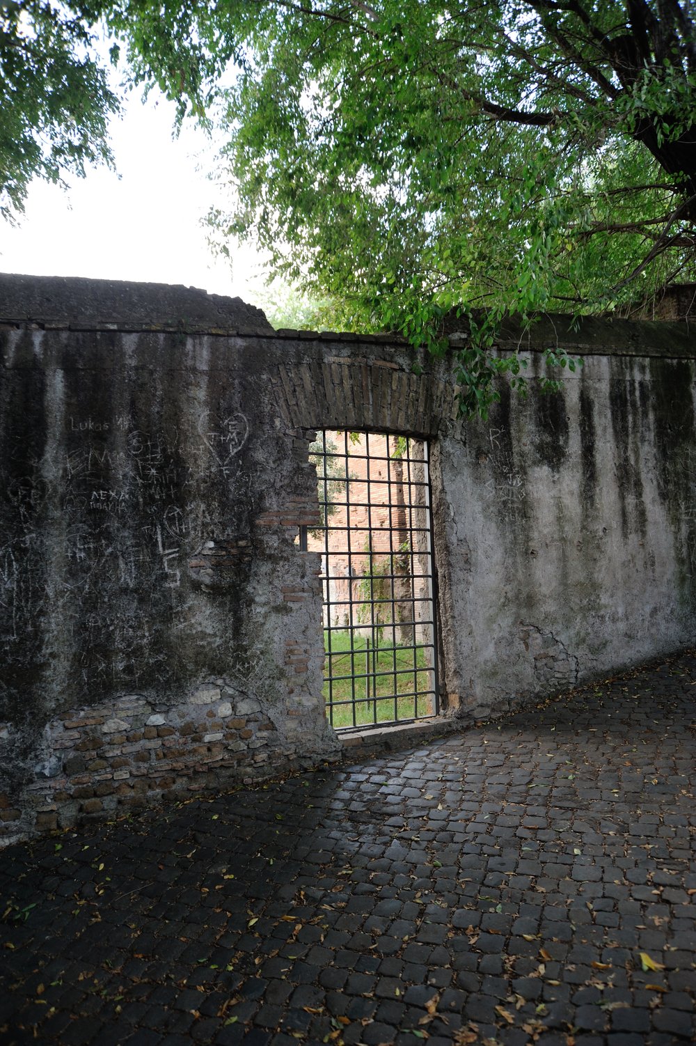 DSC_3622.JPG