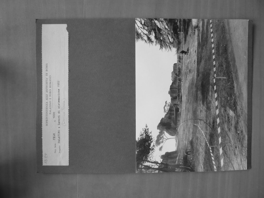 P1030246.JPG