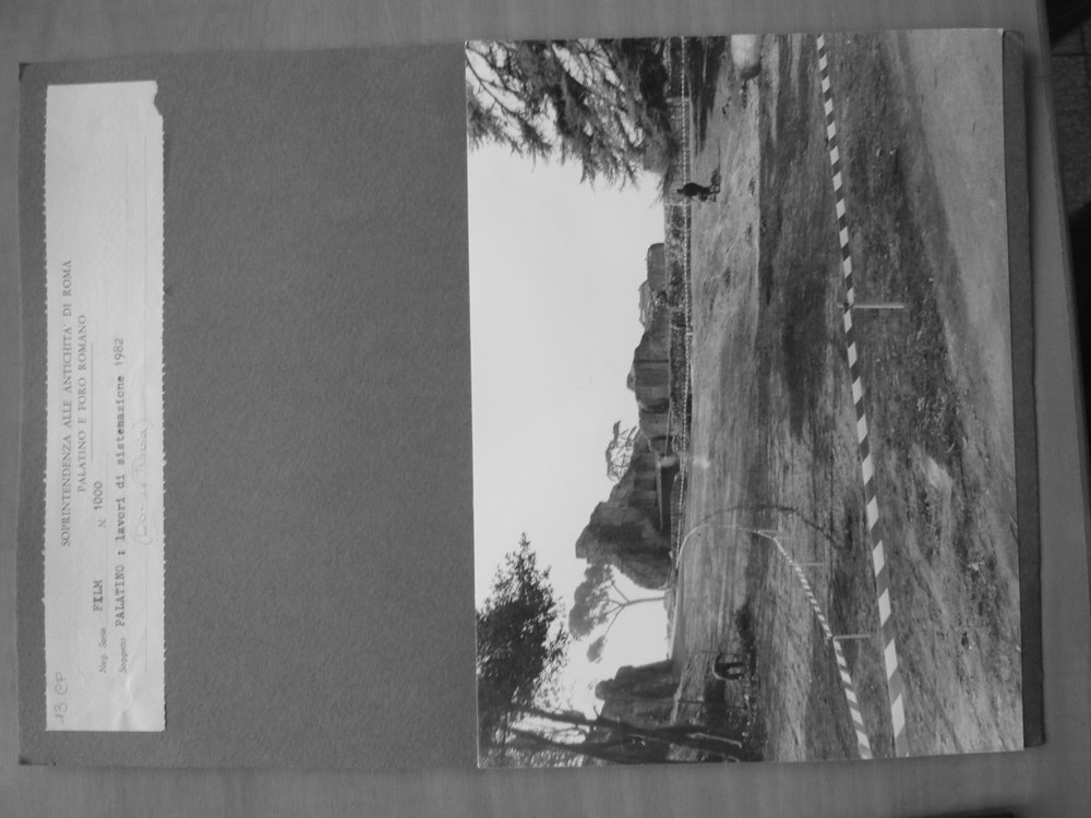 P1030245.JPG