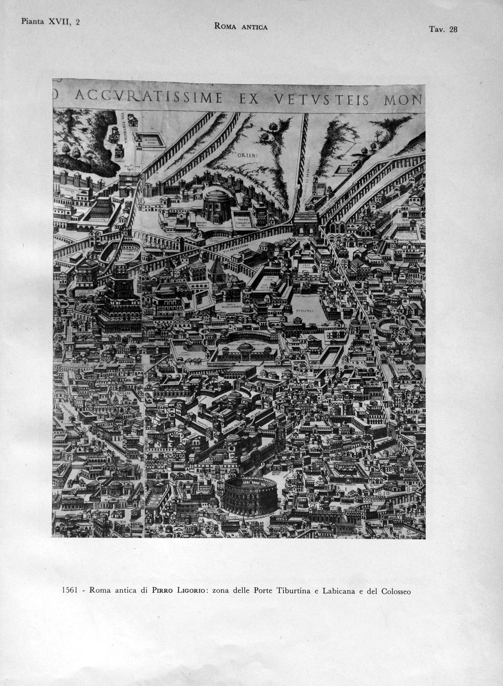 DSC_0021.JPG