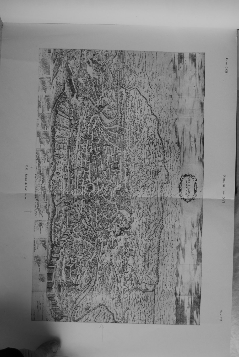 DSC_0071.JPG