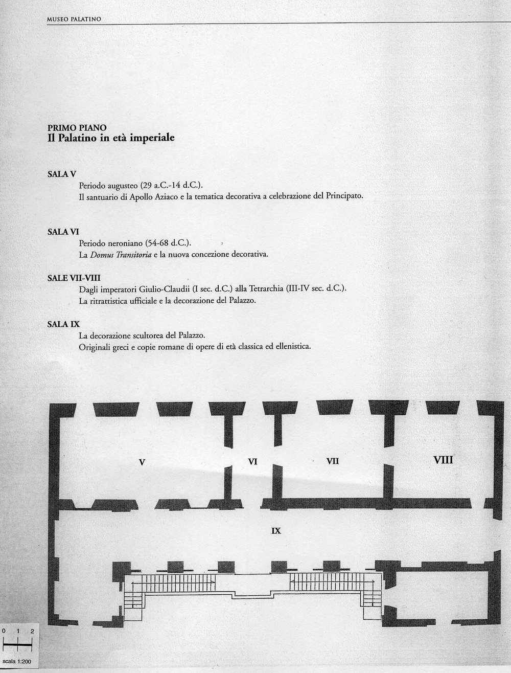 primo piano museo.jpg