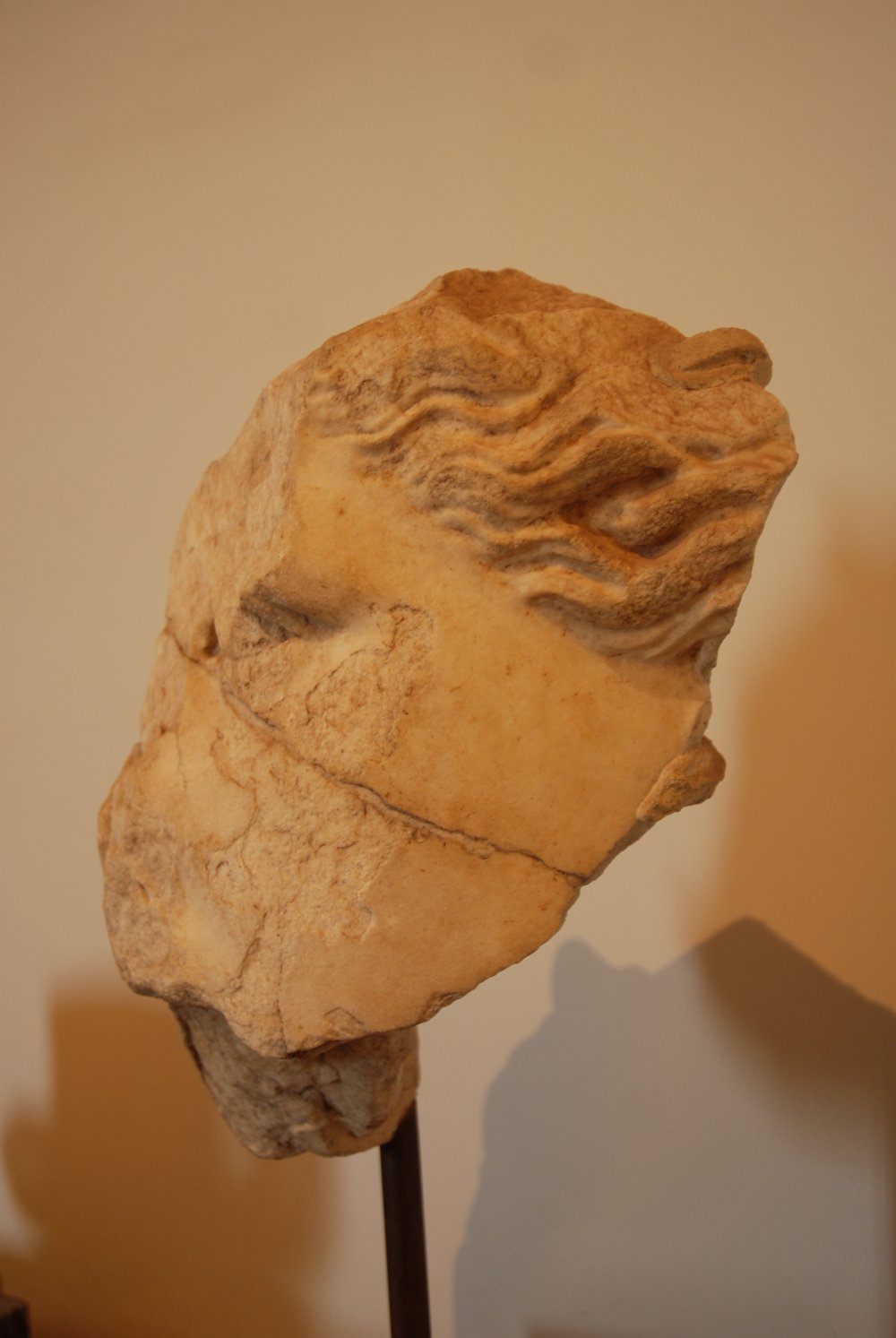 DSC_0176.JPG