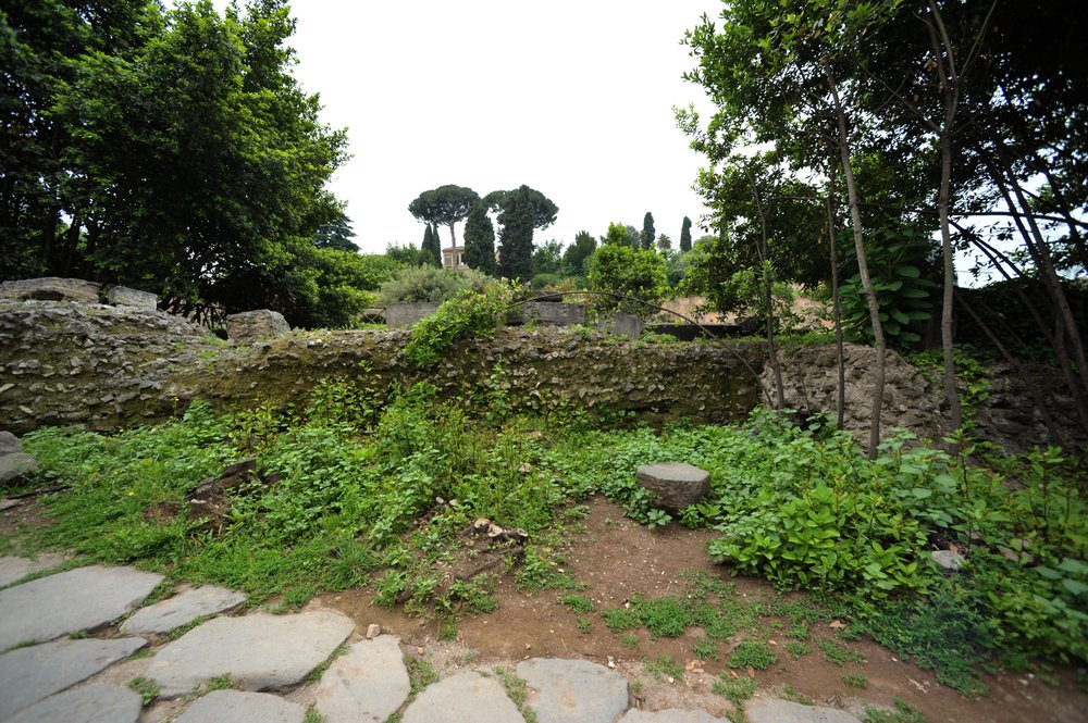 DSC_4231.JPG