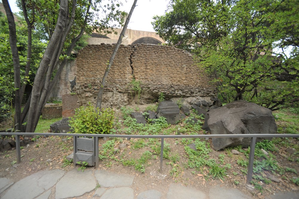 DSC_4235.JPG