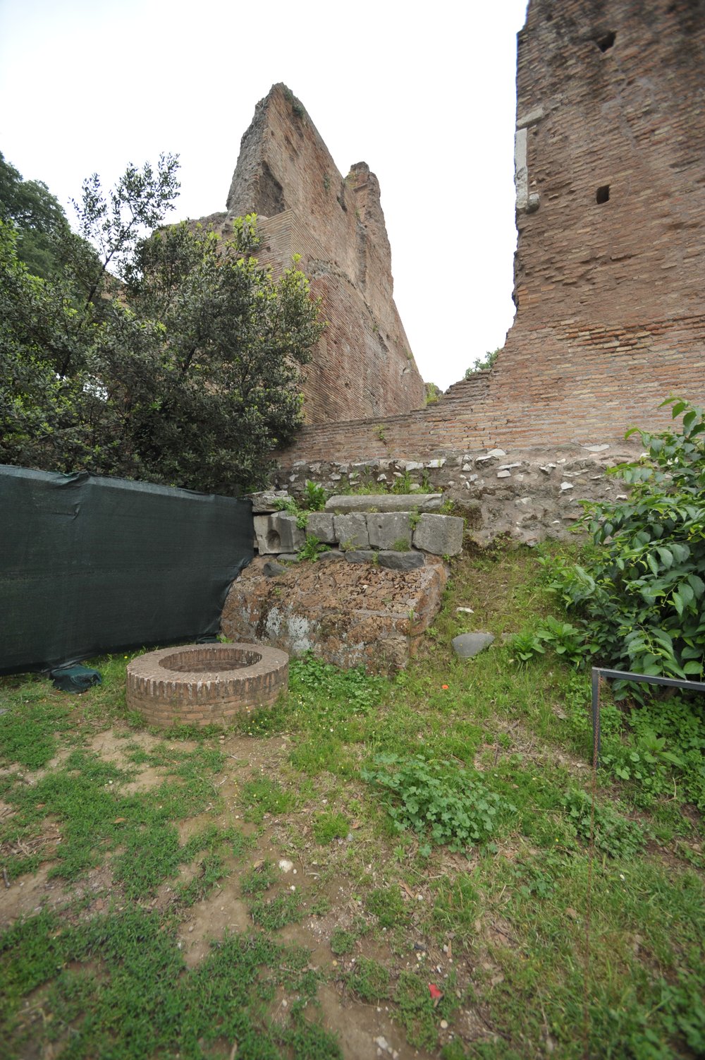 DSC_4247.JPG