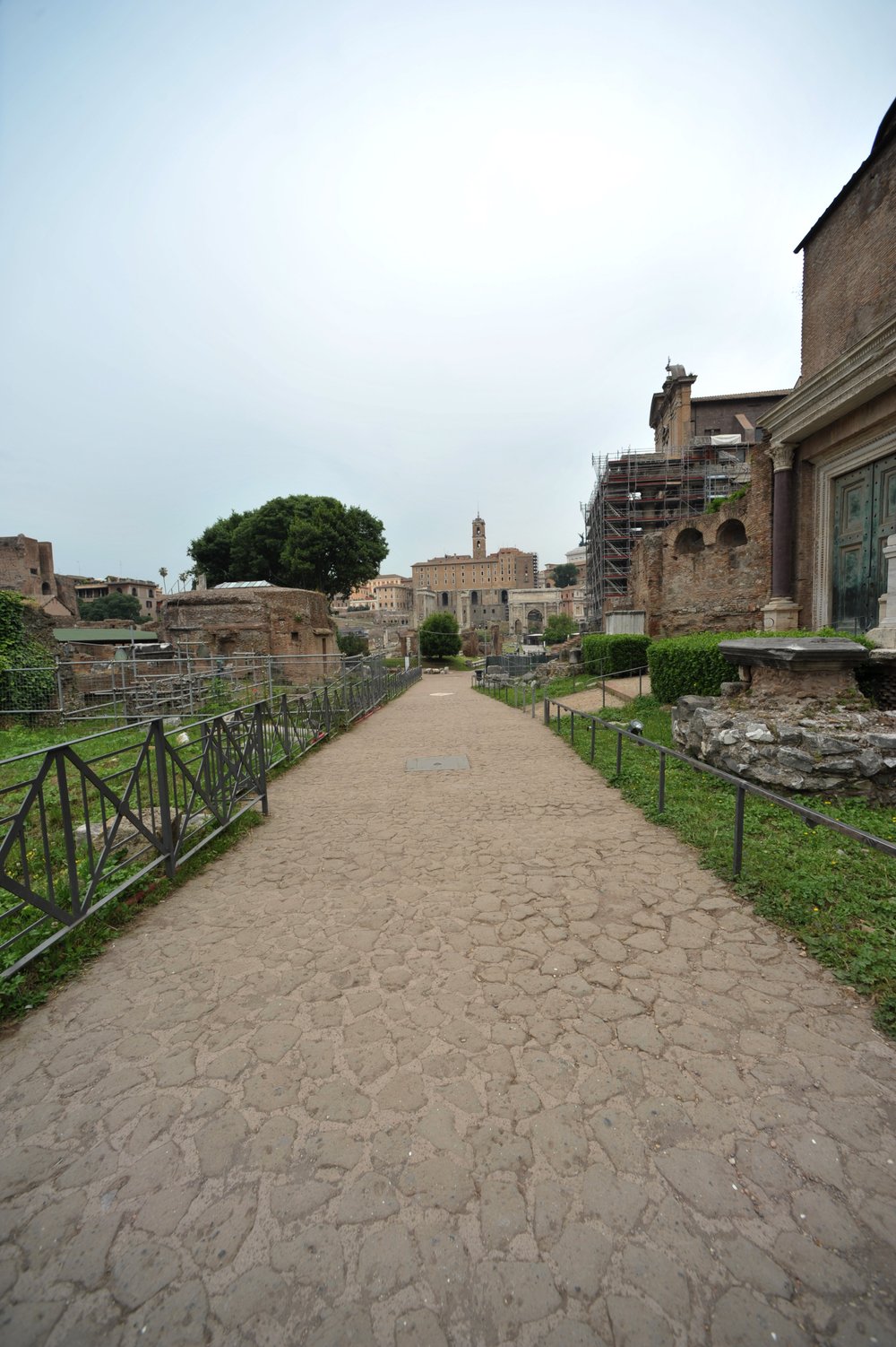 DSC_4248.JPG
