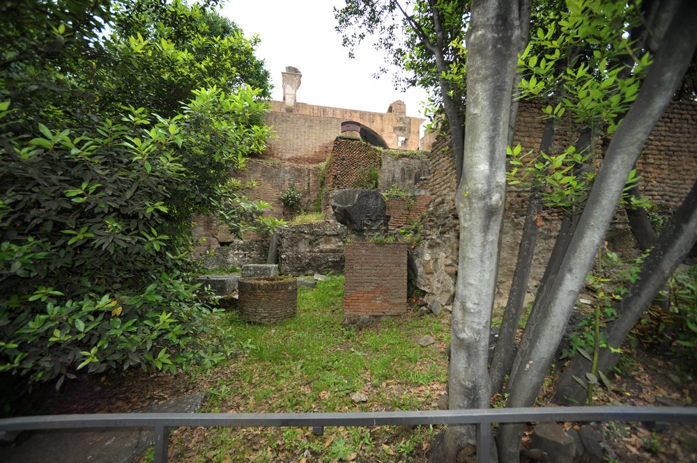 DSC_4236.JPG