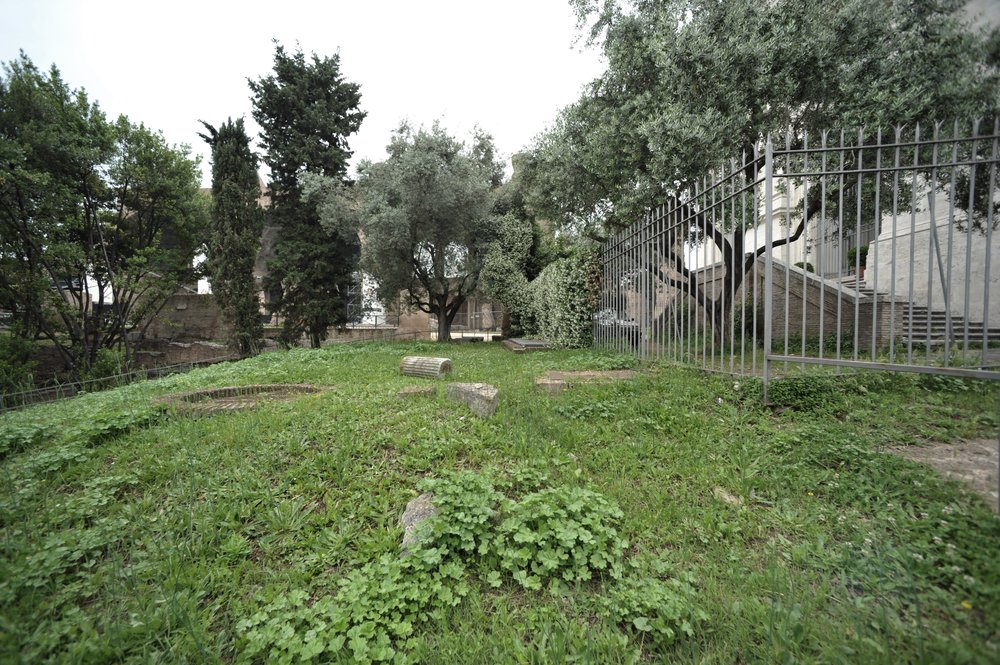 DSC_4224.JPG
