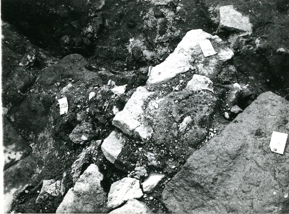 film 12291 - Scavo Carandini -  foto 005.jpg