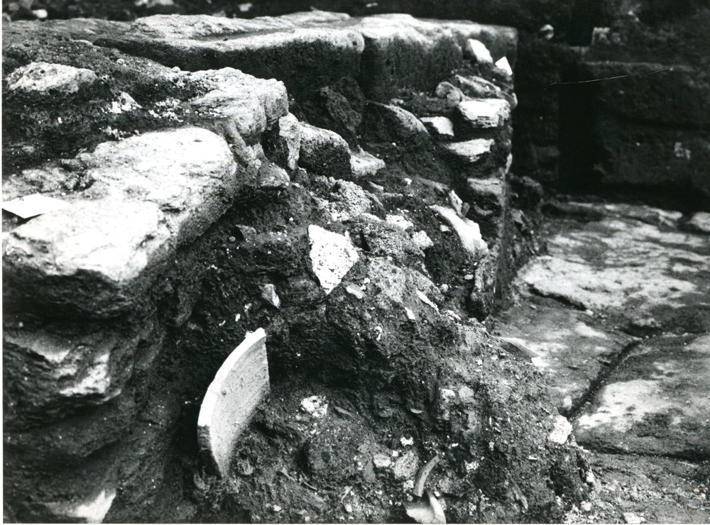 film 12291 - Scavo Carandini -  foto 010.jpg