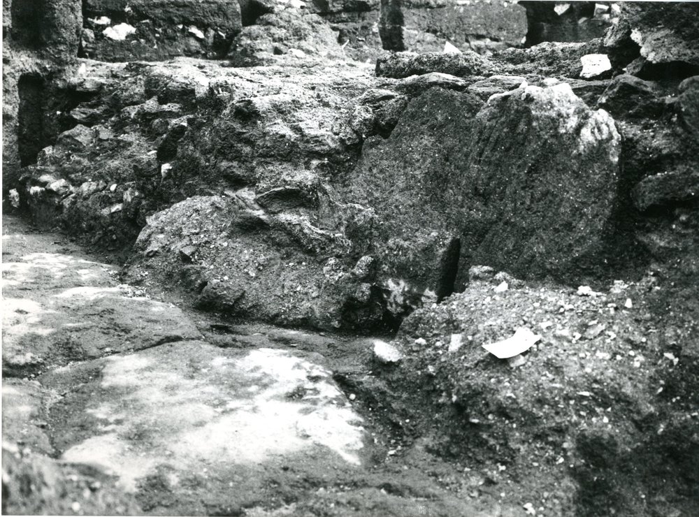 film 12291 - Scavo Carandini -  foto 001.jpg