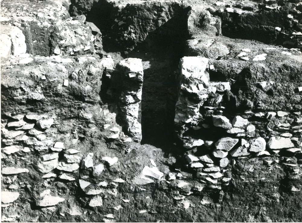 film 12291 - Scavo Carandini -  foto 009.jpg