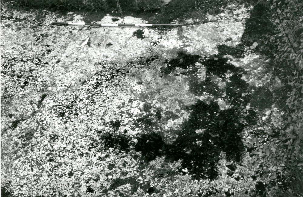Scavo Carandini - foto 009.jpg