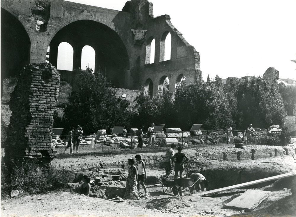 Scavo Carandini - film 12172 - Vista generale dello scavo nel corso della terza campagna (1987).jpg