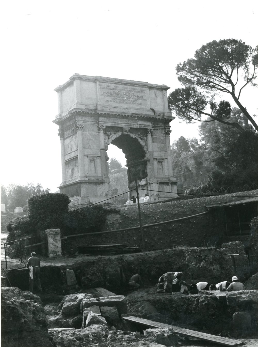 Scavo Carandini - film 12164 - Vista generale dello scavo nel corso della terza campagna (1987).jpg