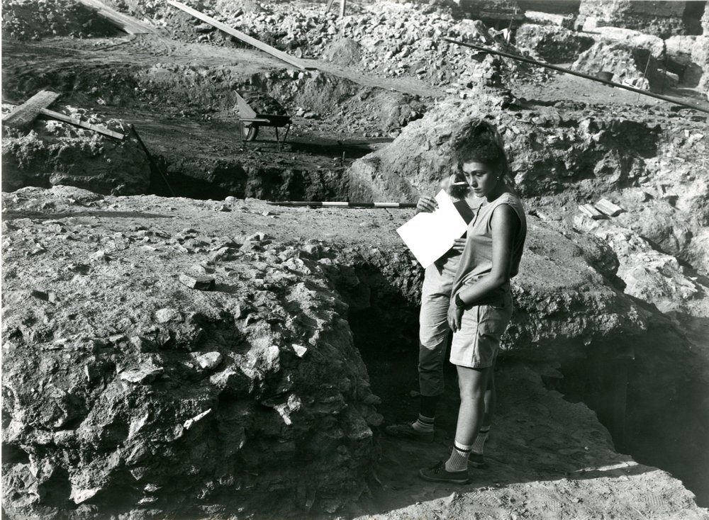 Scavo Carandini - film 12168 - Particolare dello scavo in corso nella terza campagna (1987).jpg